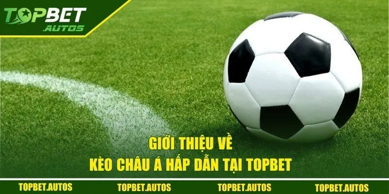 Giới thiệu về kèo Châu Á
